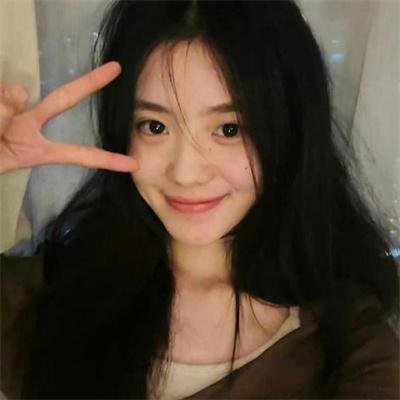 狐獴家族